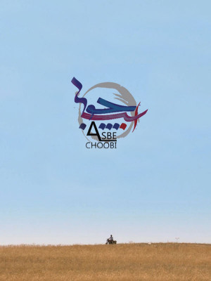 فستیوال