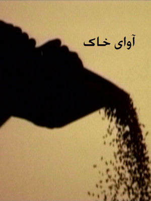 زیبایی در اغما