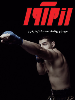 جعبه سیاه - حبیب کاشانی