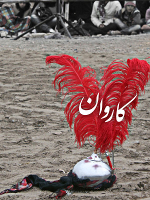 بچه مگس