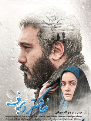 گاومیش ها