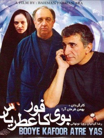 بوی کافور، عطر یاس