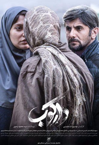 دارکوب