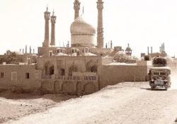 فیلم مستند «از ساقه تا صدر»          www.filimo.com/m/FbwSe