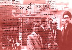 فیلم مستند «از ساقه تا صدر»          www.filimo.com/m/FbwSe