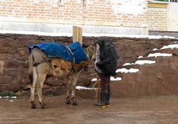 فیلم مستند جای پای او  www.filimo.com/m/zmGMd