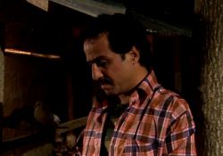 فیلم سینمایی سفیر عشق  www.filimo.com/m/mFopb