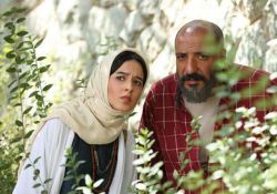 فیلم سینمایی سوفی و دیوانه    www.filimo.com/m/wko8s