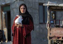 فیلم سینمایی تی تی   www.filimo.com/m/qoy4j