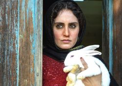 فیلم سینمایی تی تی   www.filimo.com/m/qoy4j