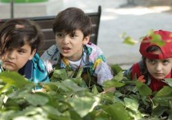 فیلم سینمایی بام بالا   www.filimo.com/m/y4cl5