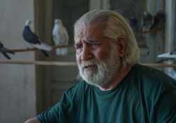 سریال حیثیت گمشده   www.filimo.com/m/134633