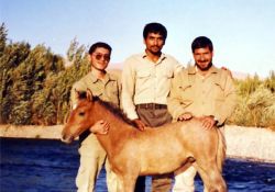 فیلم مستند گردان قاطریزه  www.filimo.com/m/7s4m8