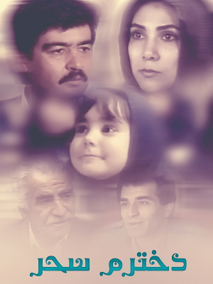 سهم گمشده