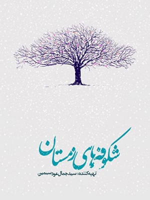 از پاریز تا پاریس