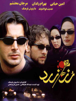 شیرهای جوان