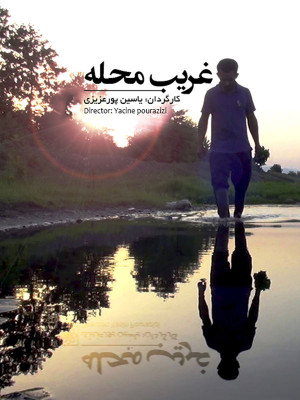وهم سبز