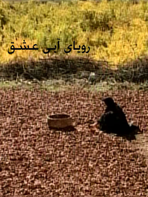 دزد