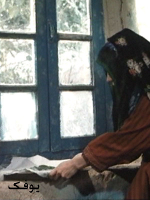 سوشیوس