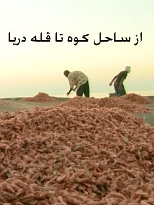 از ساحل کوه تا قله دریا - از ساحل کوه تا قله دریا,فیلم کوتاه, مستند , فیلم سینمایی , سینما , دانلود فیلم - محصول ایران - - - سال 1378