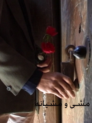 تنها با زمین