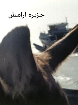 سفری برای بازگشت