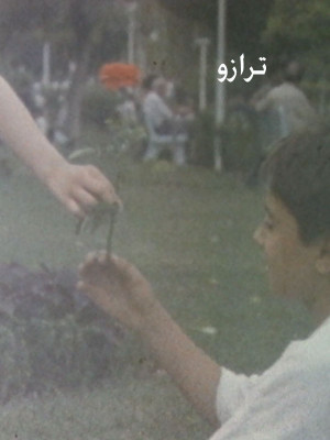 کویر آینه ها
