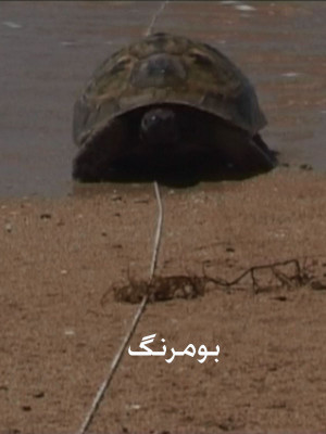 بومرنگ - بومرنگ,فیلم کوتاه,داستانی, فیلم سینمایی , سینما , دانلود فیلم - محصول ایران - - - سال 1385