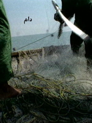 شهر مردان