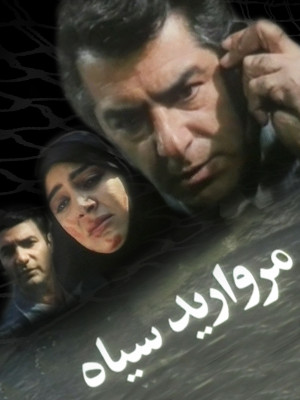 تفنگ شکسته