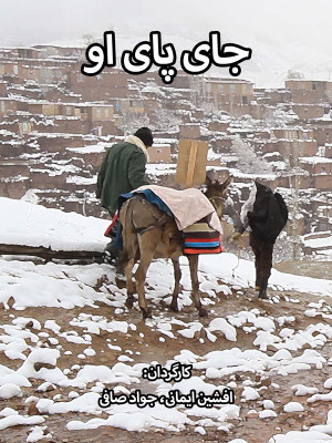 رودخانه هنوز ماهی دارد