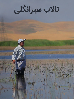 تالاب سیرانگلی - دانلود,مستند,دانلود مستند,تالاب سیرانگلی,مستند تالاب سیرانگلی,دانلود مستند تالاب سیرانگلی,نقده,سولدوز,محیط زیست,دوستداران طبیعت سولدوز,jhghf sdvhk'gd,فیلم کوتاه,فیلم کوتاه,, فیلم سینمایی , سینما , دانلود فیلم - محصول ایران - - - سال 1393 - کیفیت HD