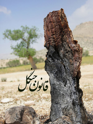 سفری برای بازگشت