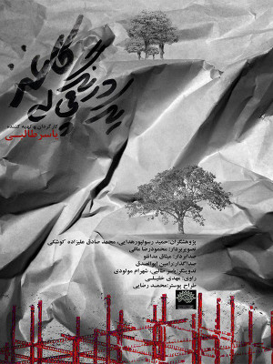 شهر پولکی