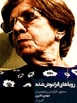 عنبر سیلین