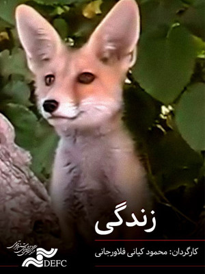 گرمابان