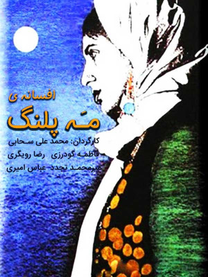 سهم گمشده