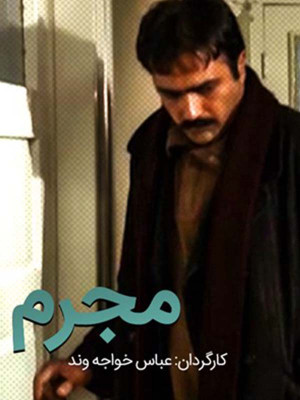 شیرهای جوان