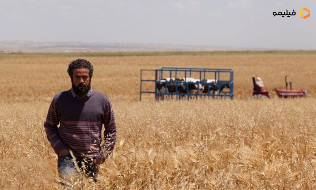 نمایی از فیلم سینمایی تومان