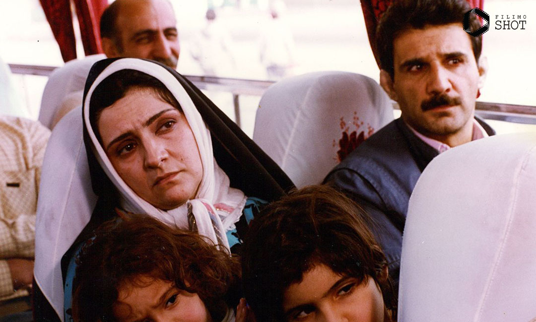 زرد قناری