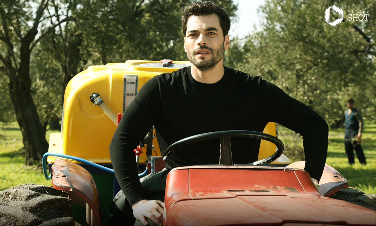 سریال گلهای وحشی