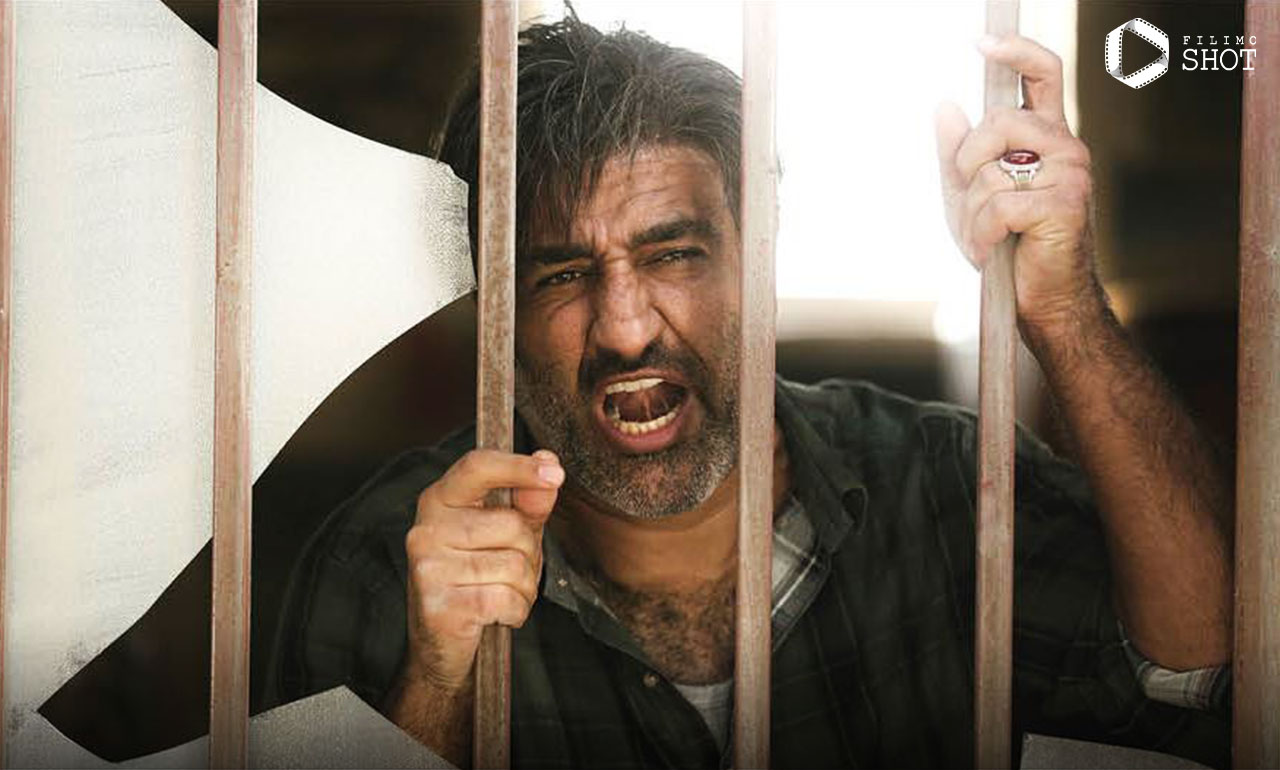فیلم یادگار جنوب