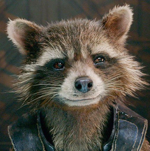 Rocket Raccoon