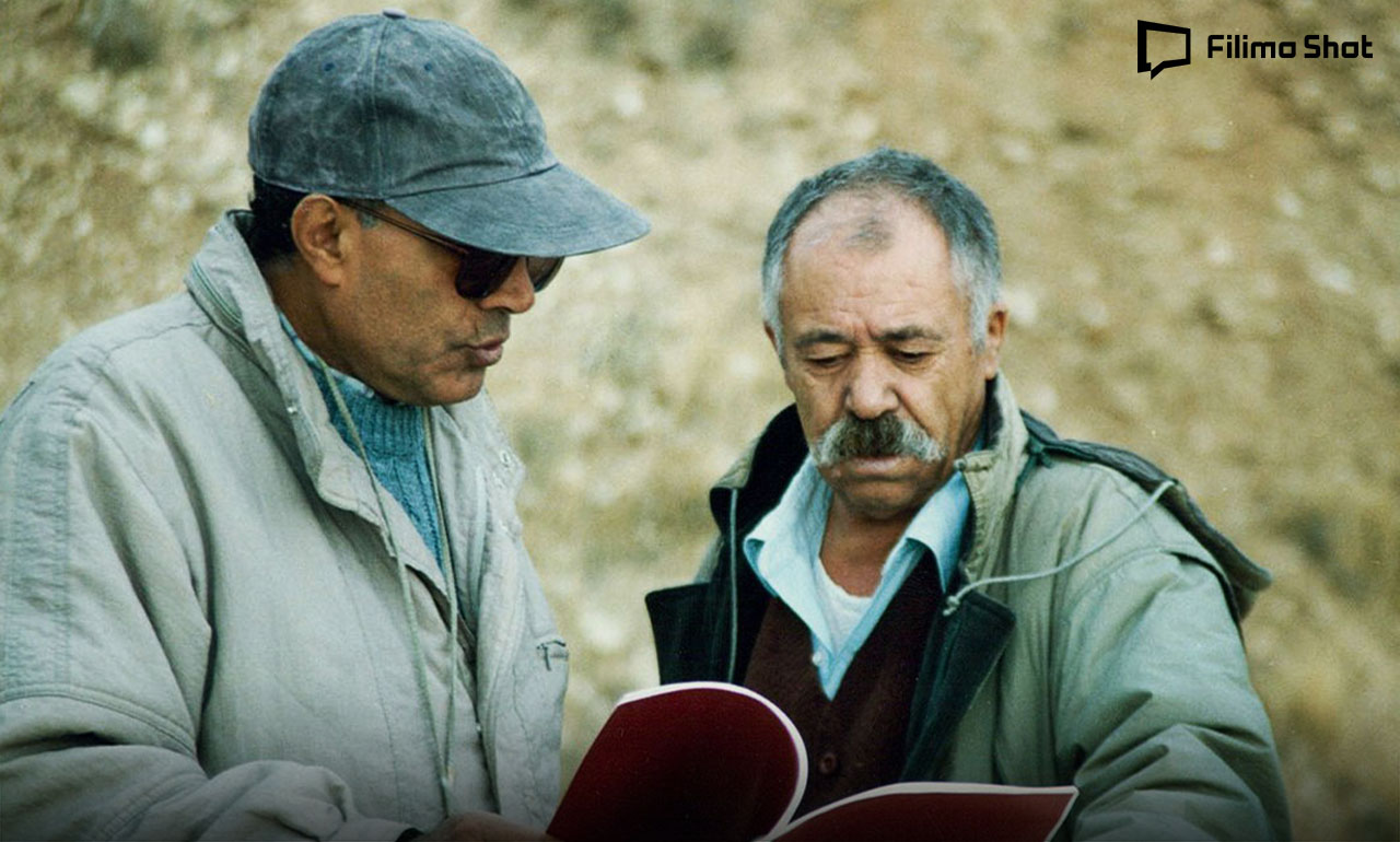 فیلم طعم گیلاس